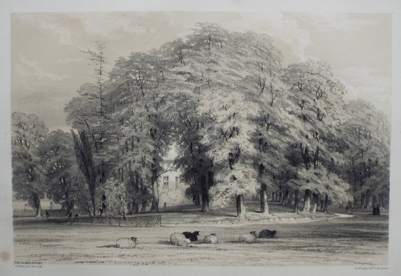 Lithograph - The Island, Rugby. - Radclyffe