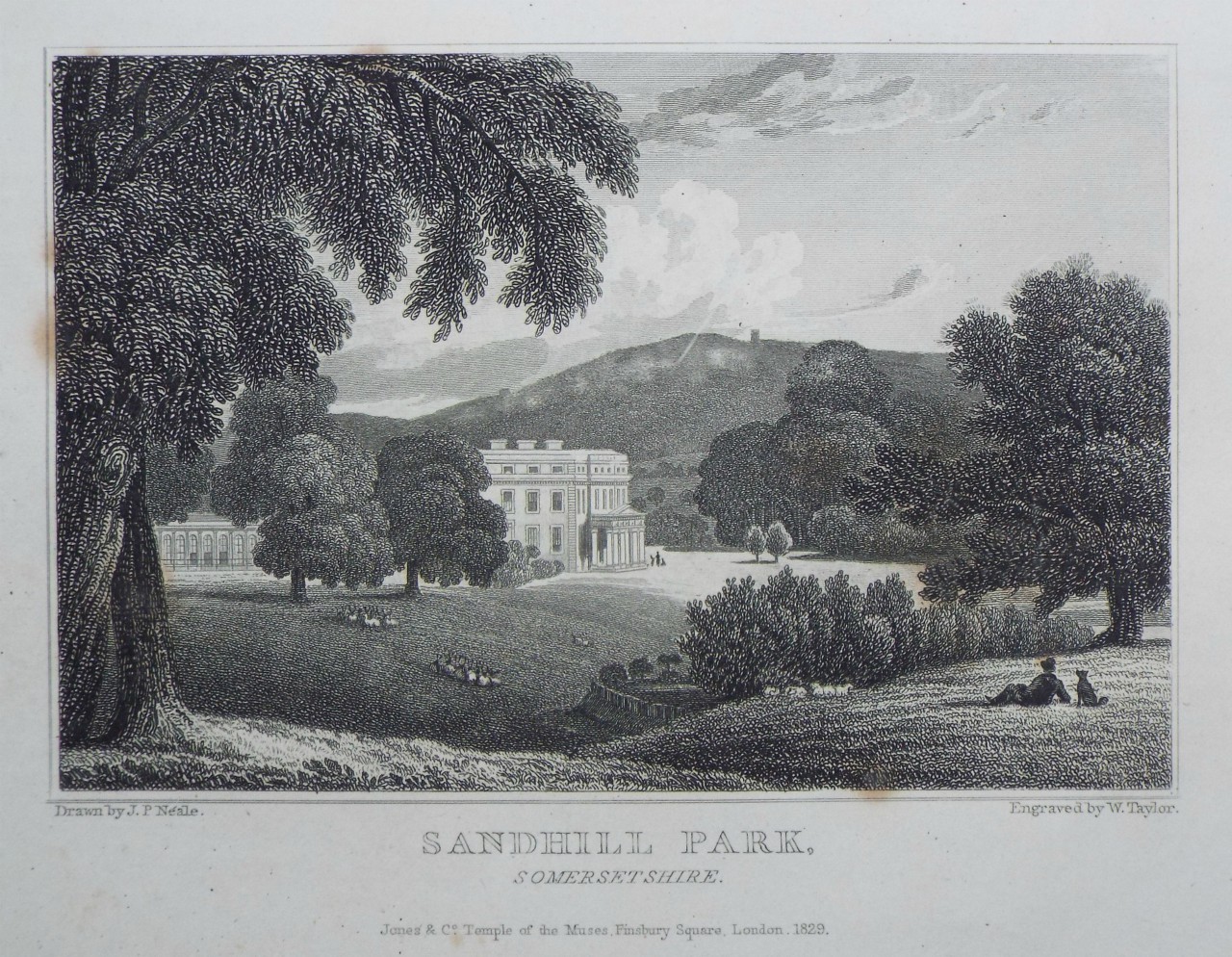 Print - Sandhill Park, Somersetshire. - Taylor