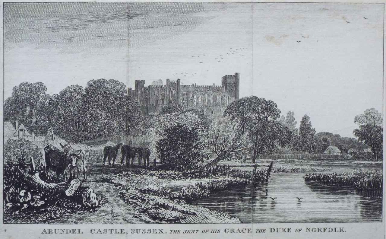 Print - Arundel Castle, Sussex. The Seat of his grace the Duke of Norfolk.