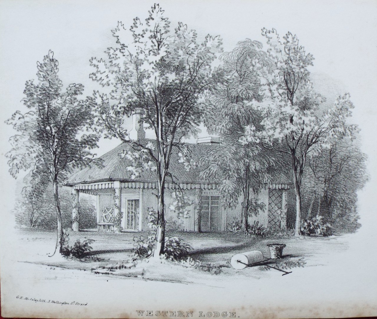 Lithograph - (Buckland House) Western Lodge.