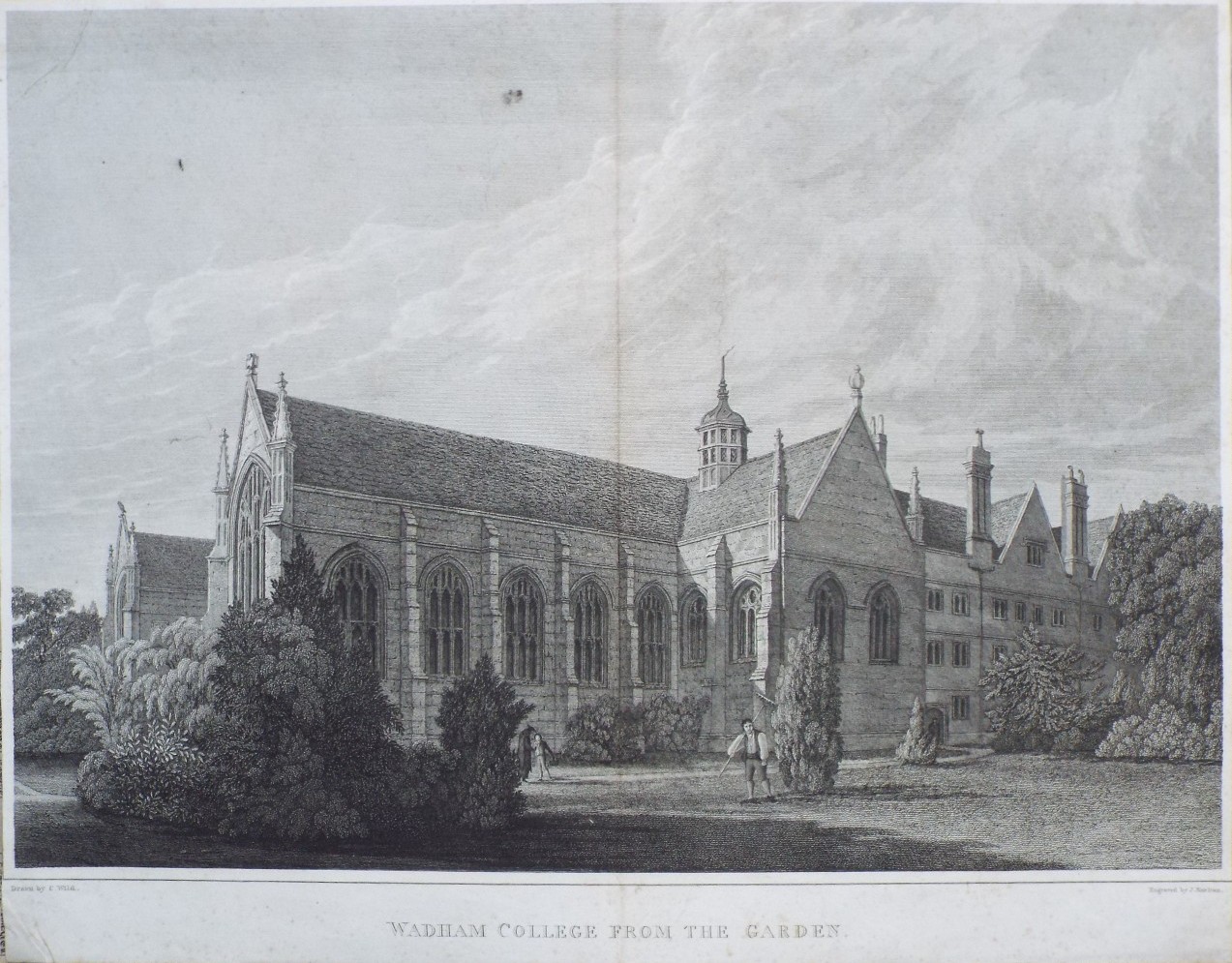 Print - Wadham College from the Garden. - Skelton