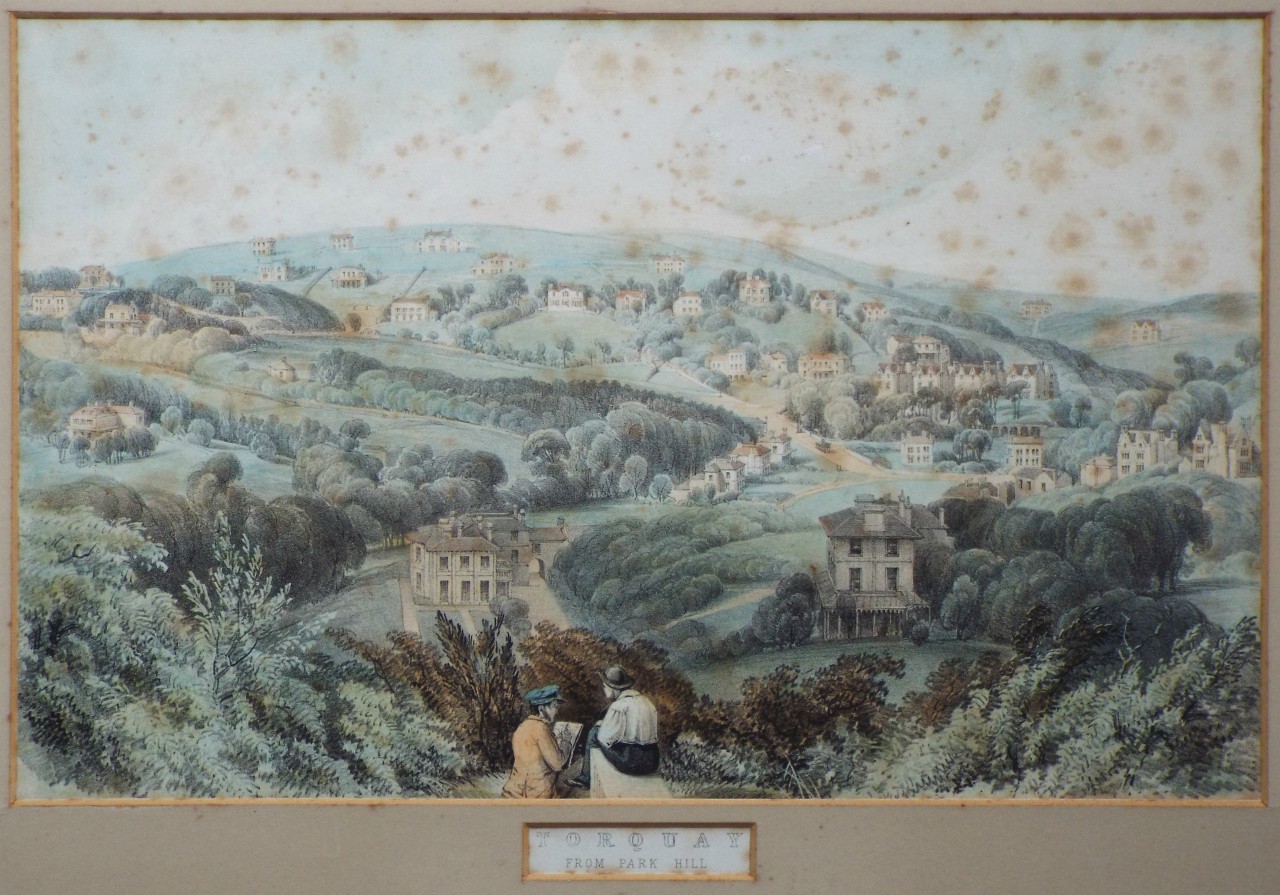 Lithograph - Torquay from Park Hill. - Spreat