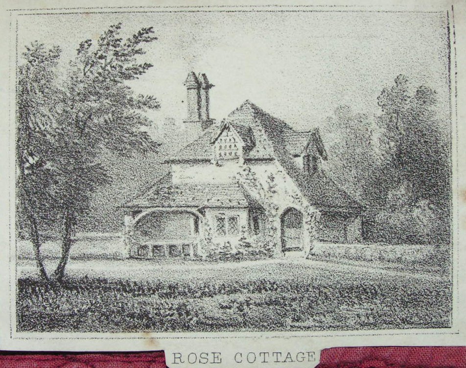 Lithograph - Rose Cottage