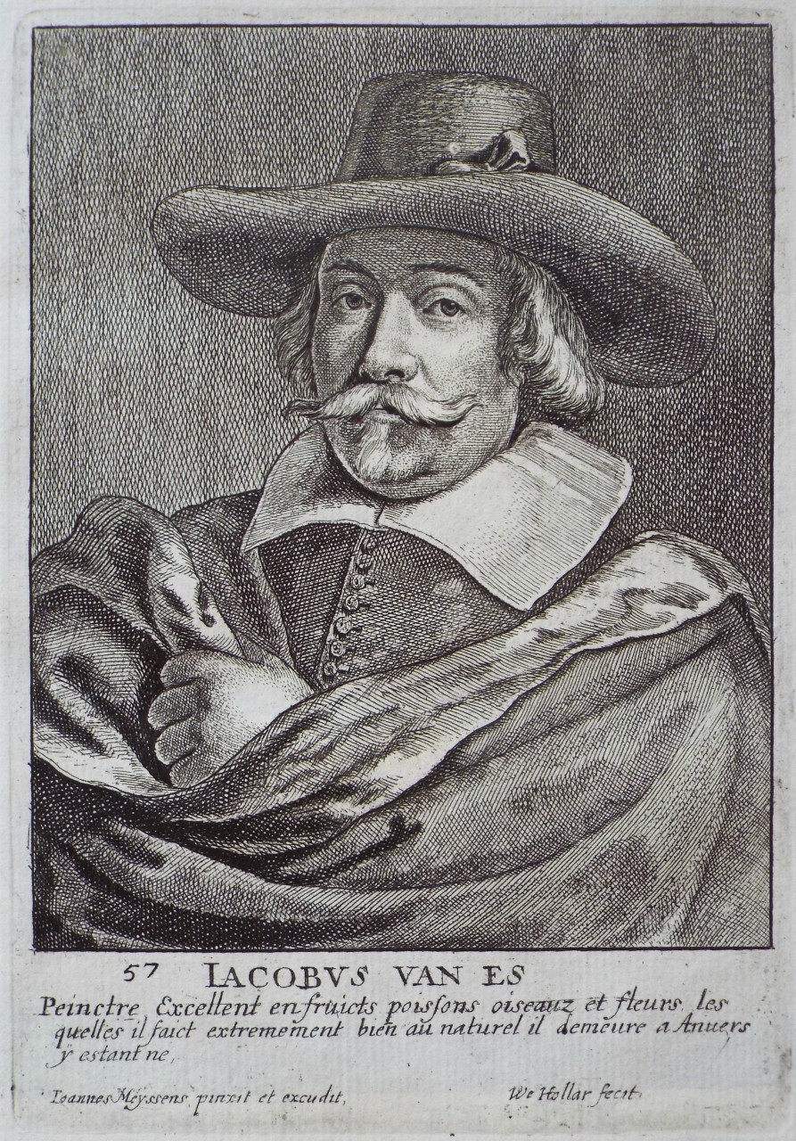 Print - Jacobus van Es - Hollar