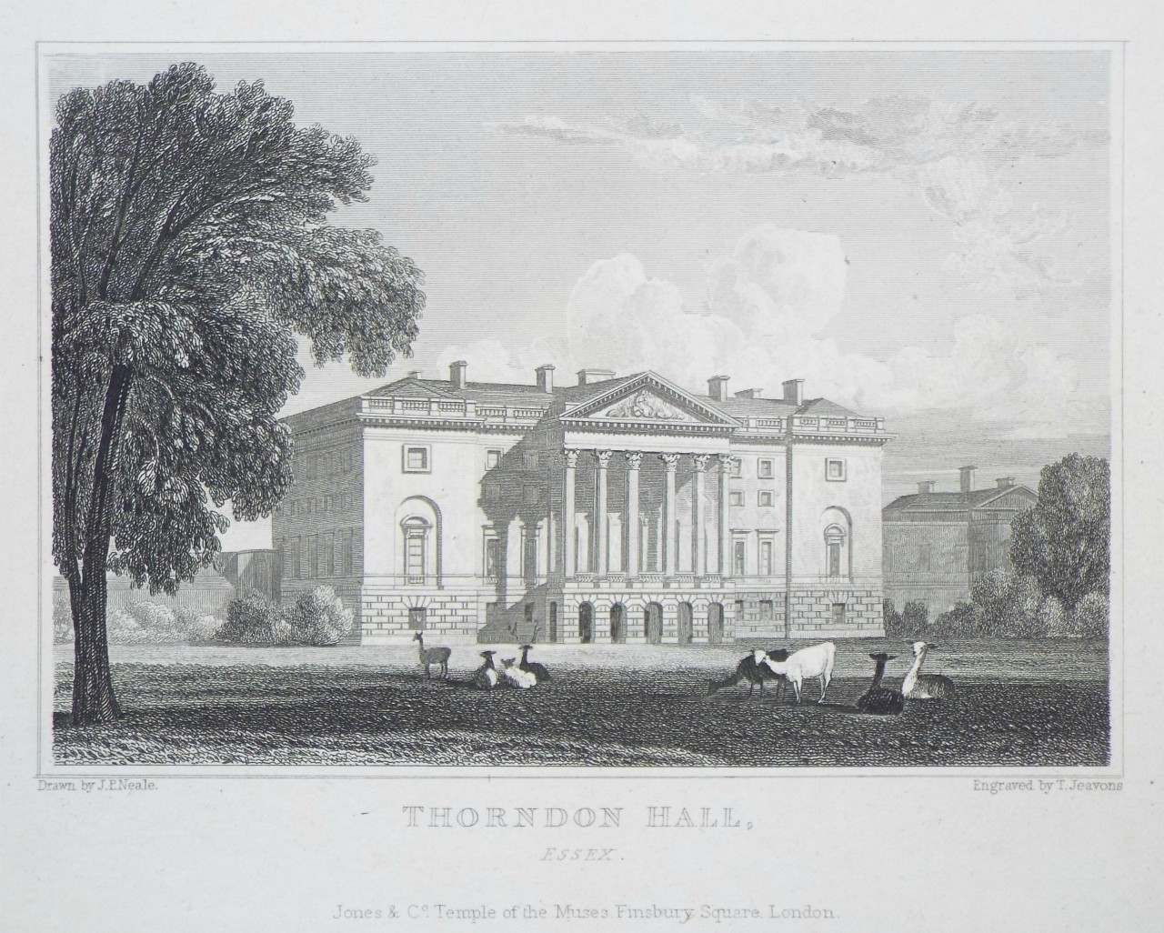 Print - Thorndon Hall, Essex. - Jeavons