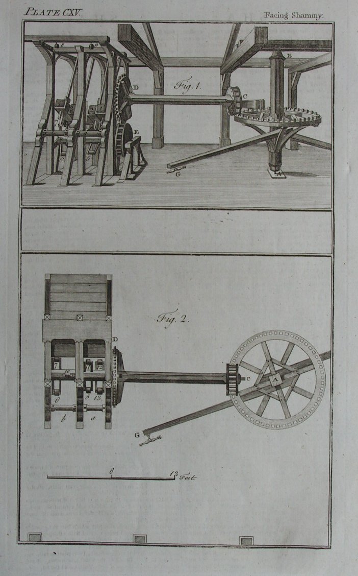 Print - Facing Shammy. Plate CXV