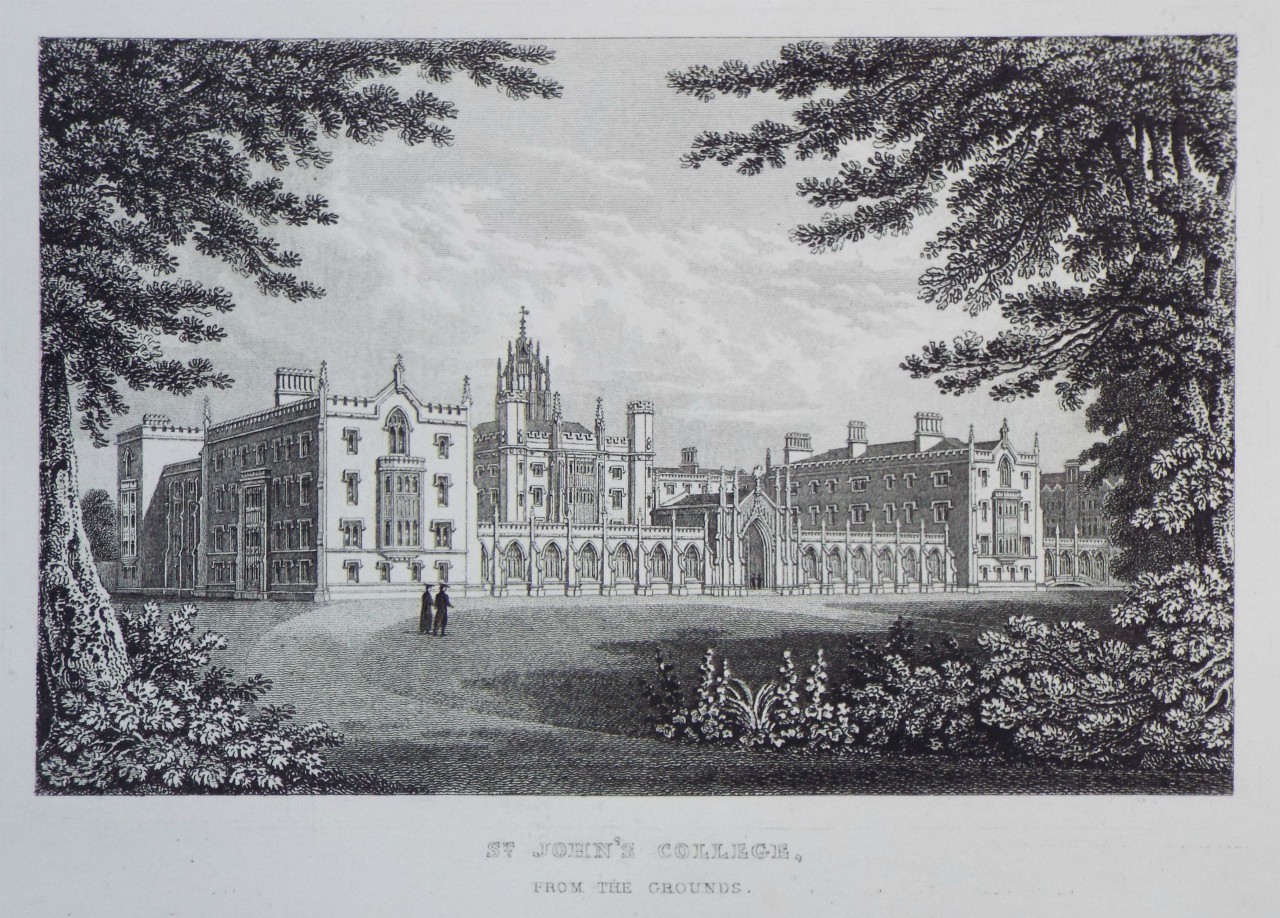 Print - St. John's College, from the Grounds.