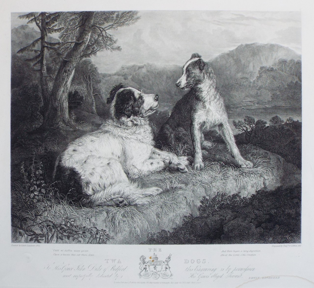 Etching - The Twa Dogs. - Gibbon