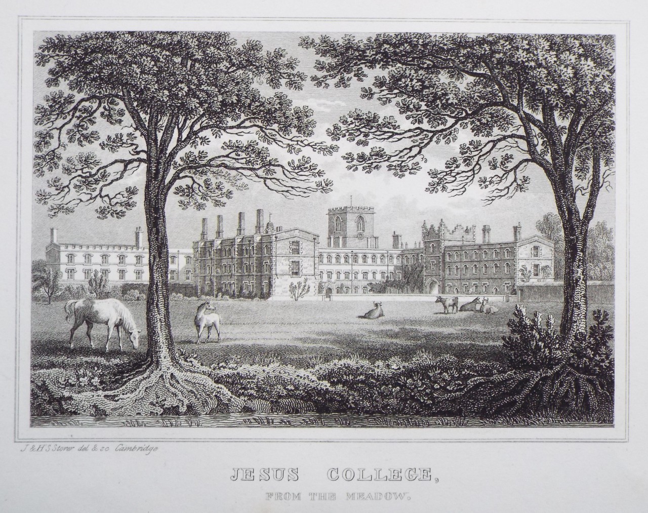 Print - Jesus College, from the Meadow. - Storer