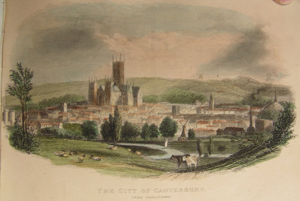 Steel Vignette - TheCity of Canterbury from Hareledown