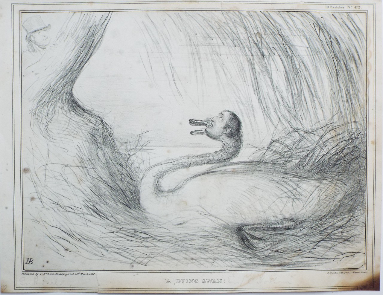 Lithograph - 473: A Dying Swan !