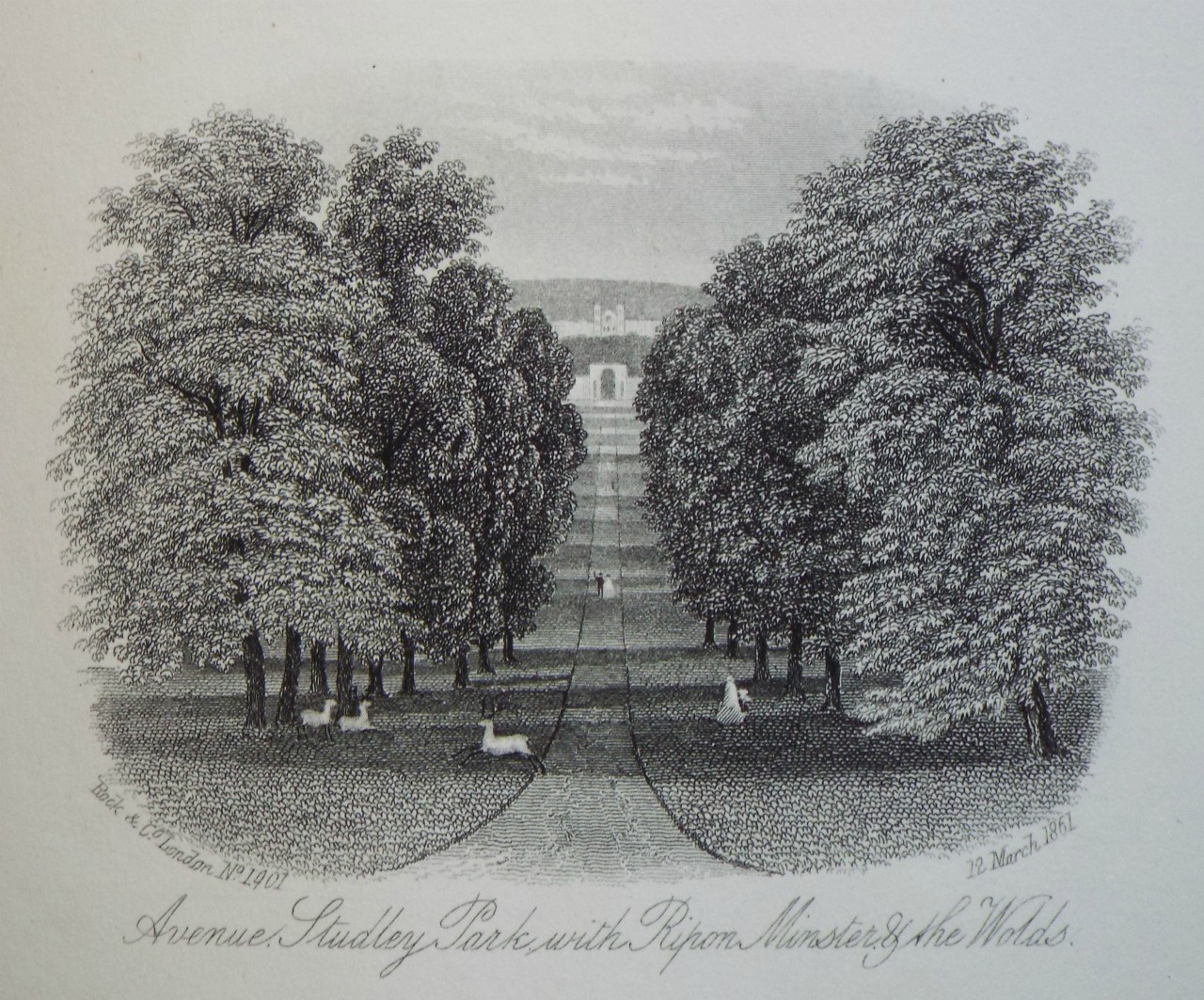 Steel Vignette - Avenue, Studley Park, with Ripon Minster & the Wolds. - Rock