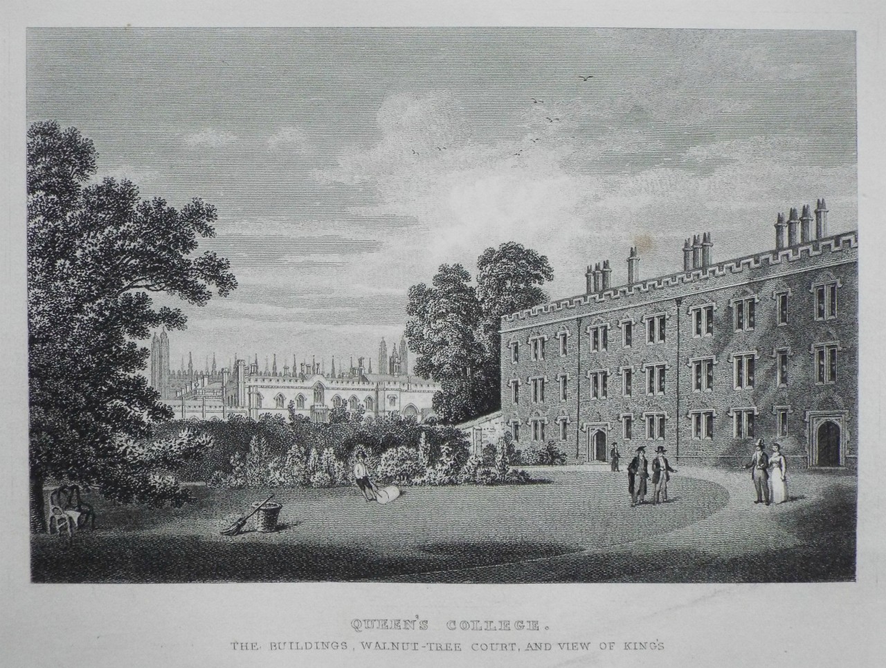 Print - Queen's College. The Buildings, Walnut-Tree Court, and View of King's.