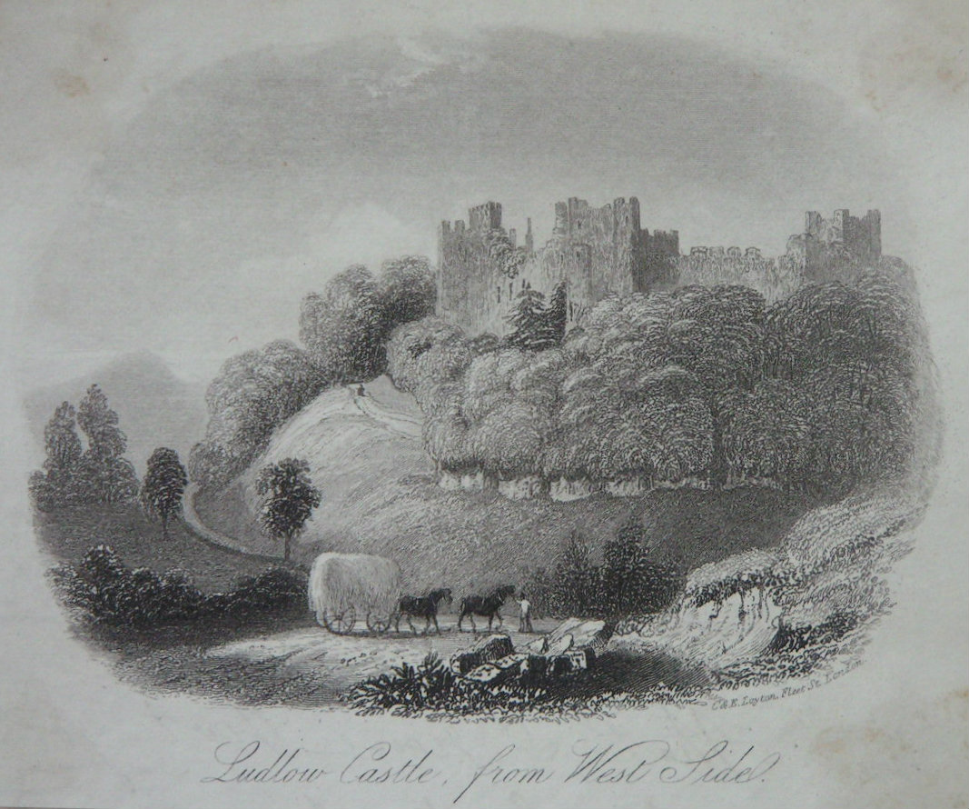 Steel Vignette - Ludlow Castle, from West Side - Layton