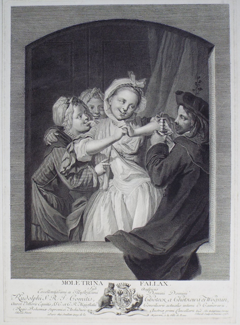 Print - Molletrina Fallax. - Schwab