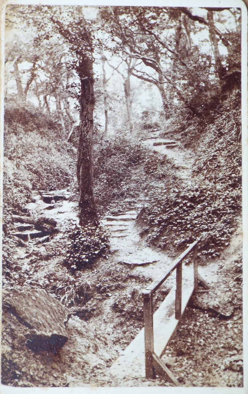 Photograph - Ecclesbourne Glen, Hastings