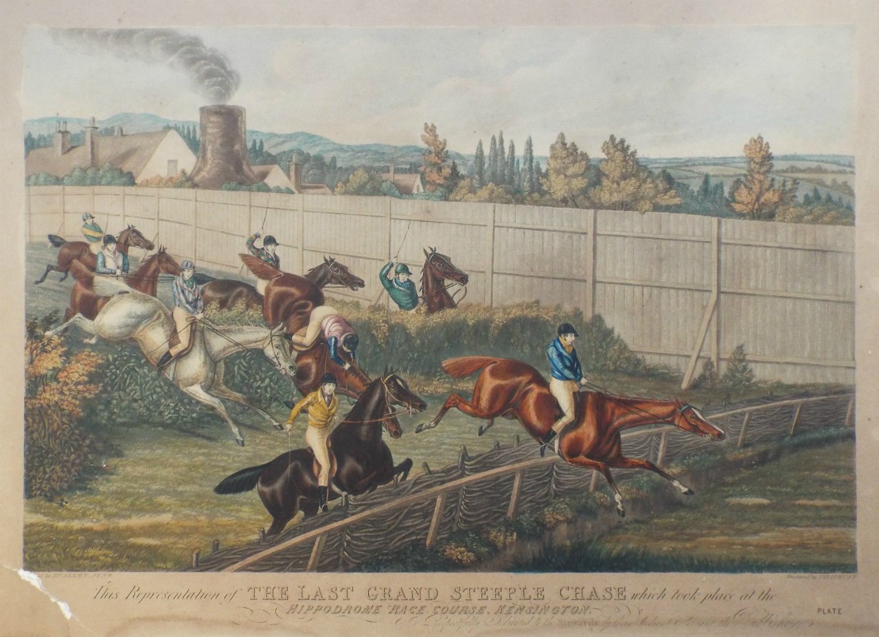 Aquatint - This Representation of The Last Grand Steeplechase which took place at the Hippodrome Race Course, Kensington is respectfully dedicated to the Stewards by their most obedient servant, the publisher. - Hunt