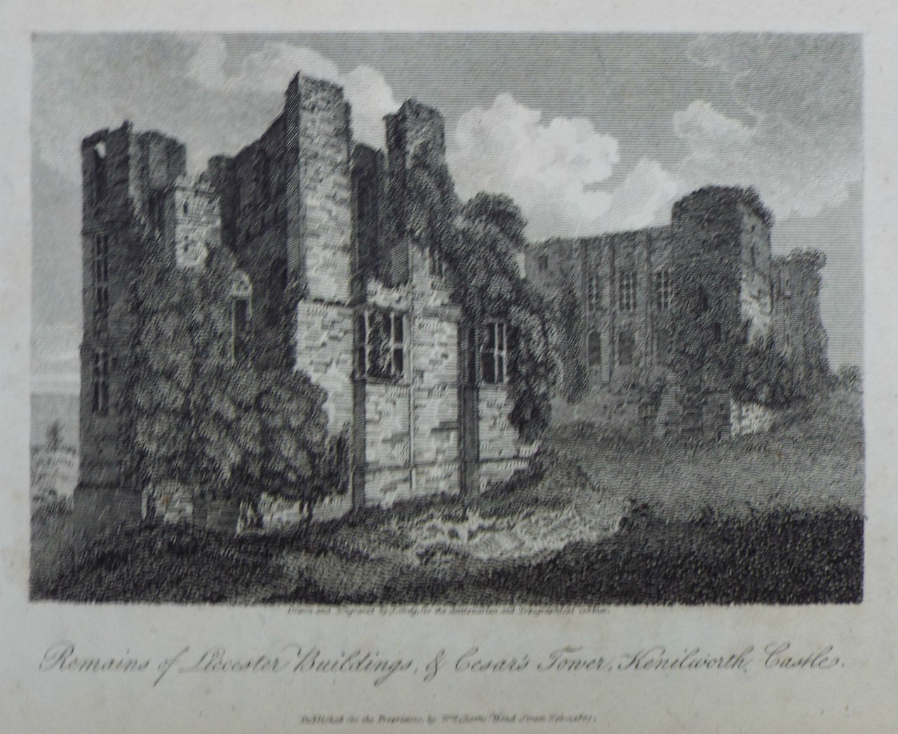 Print - Remains of Leicester Buildings, & Cesar's Tower, Kenilworth Castle. - Greig