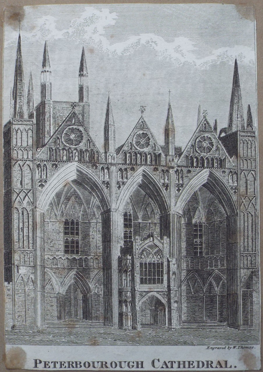 Print - Peterborough Cathedral. - Thomas