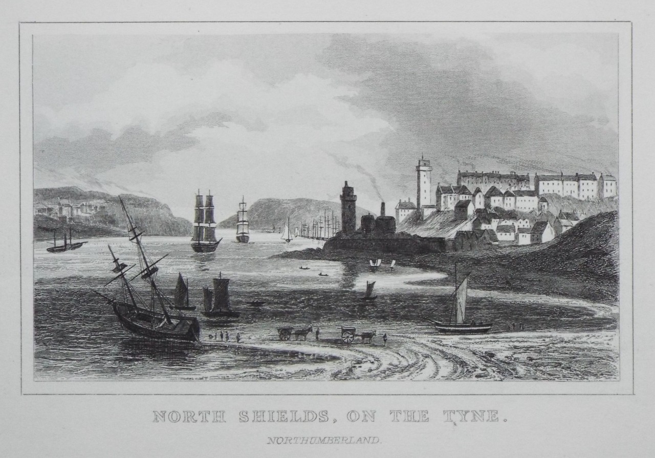 Print - North Shields, on the Tyne. Northumberland.