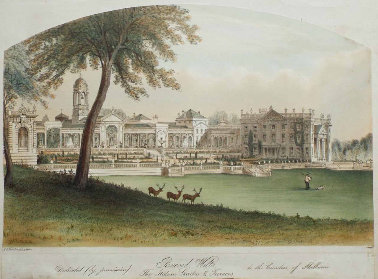 Lithograph - Bowood, Wilts, The Italian Garden & Terraces - Buckler