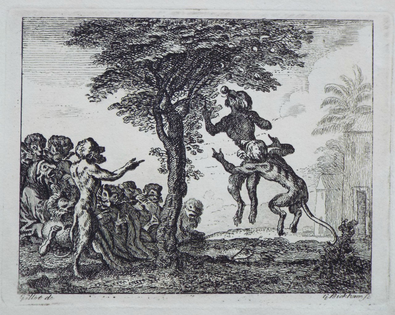 Print - (Aesop fable - monkeys jumping for apples from a tree) - Bickham