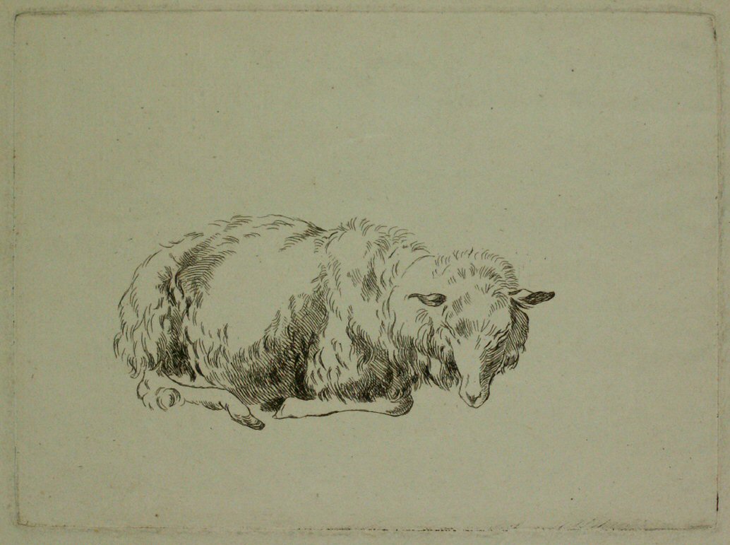 Etching - (Sheep)