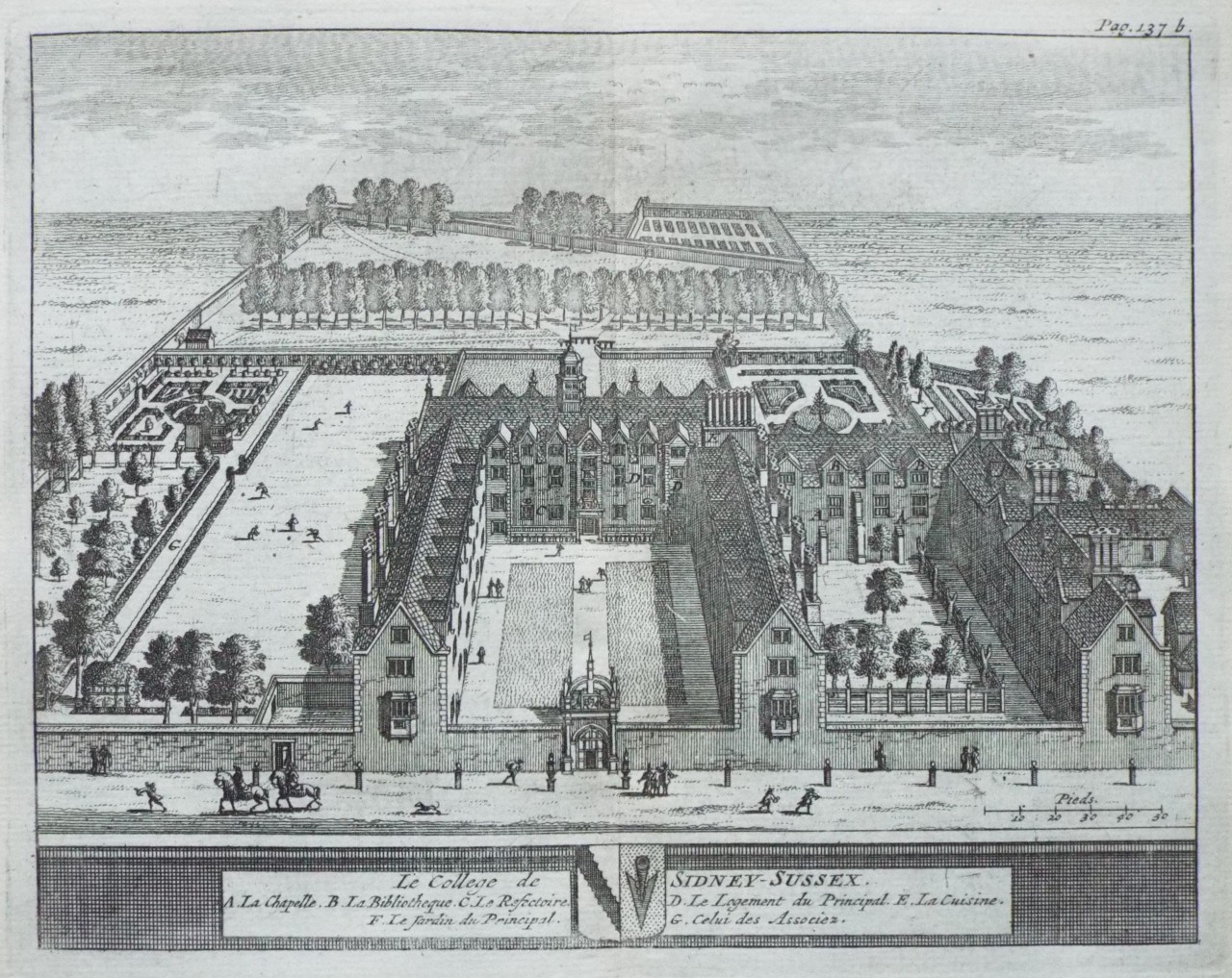 Print - Le College de Sidney-Sussex.