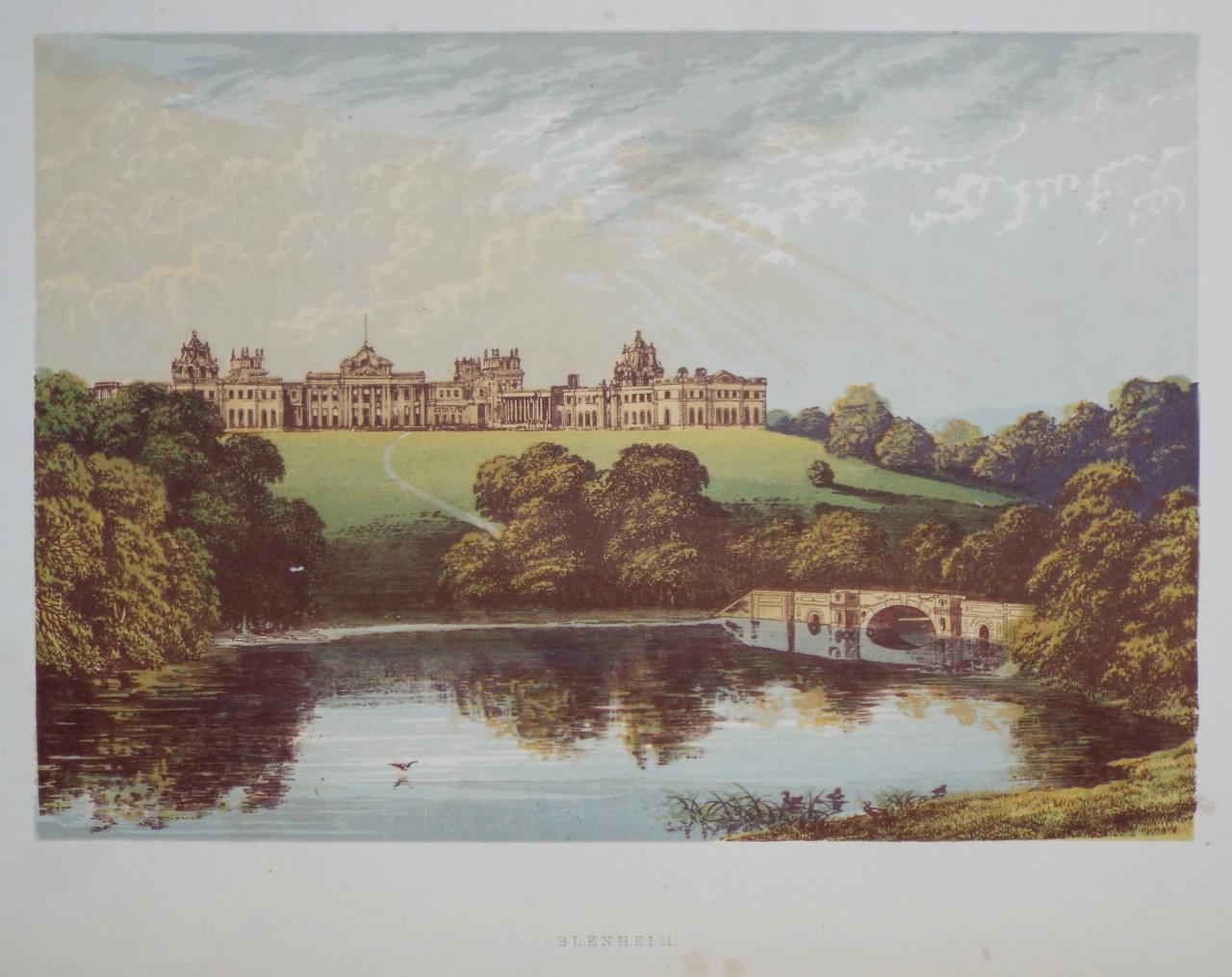 Chromo-lithograph - Blenheim.