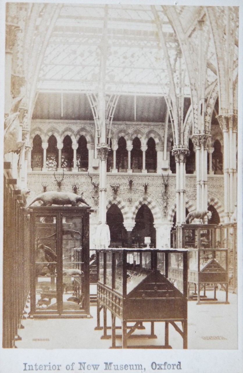 Photograph - Interior of New Museum, Oxford