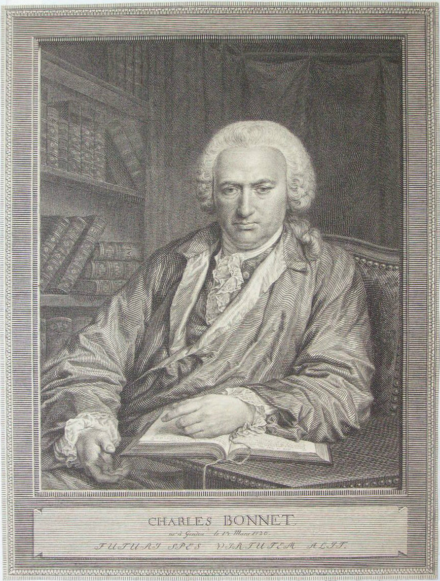 Print - Charles Bonnet