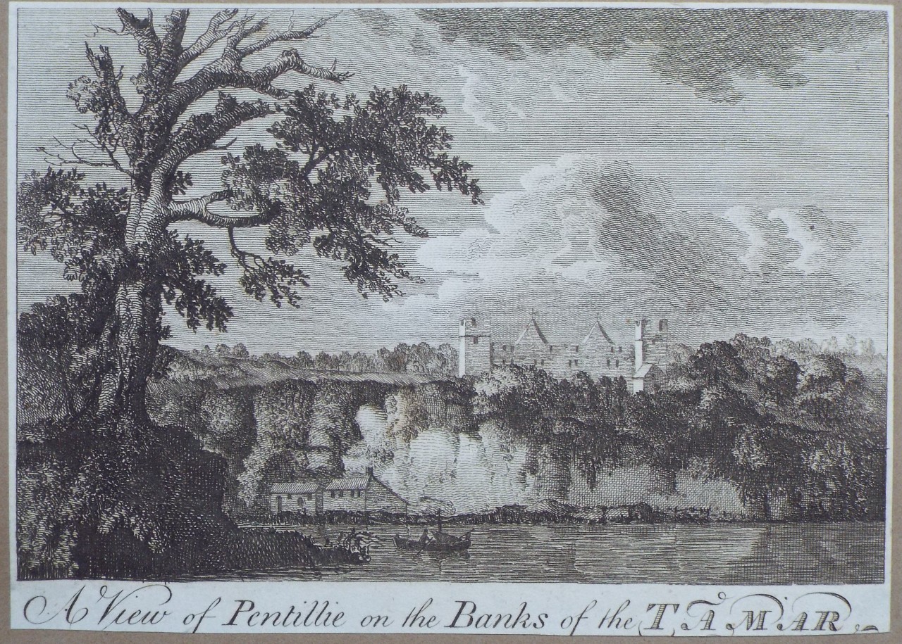 Print - A View of Pentillie on the Banks of the Tamar.