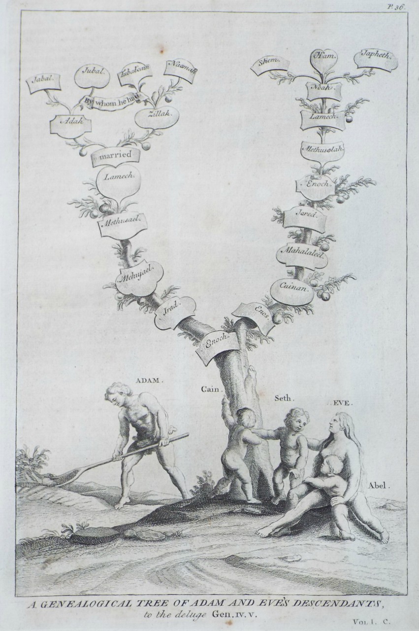 Print - A Genealogical Tree of Eve's Descendants.