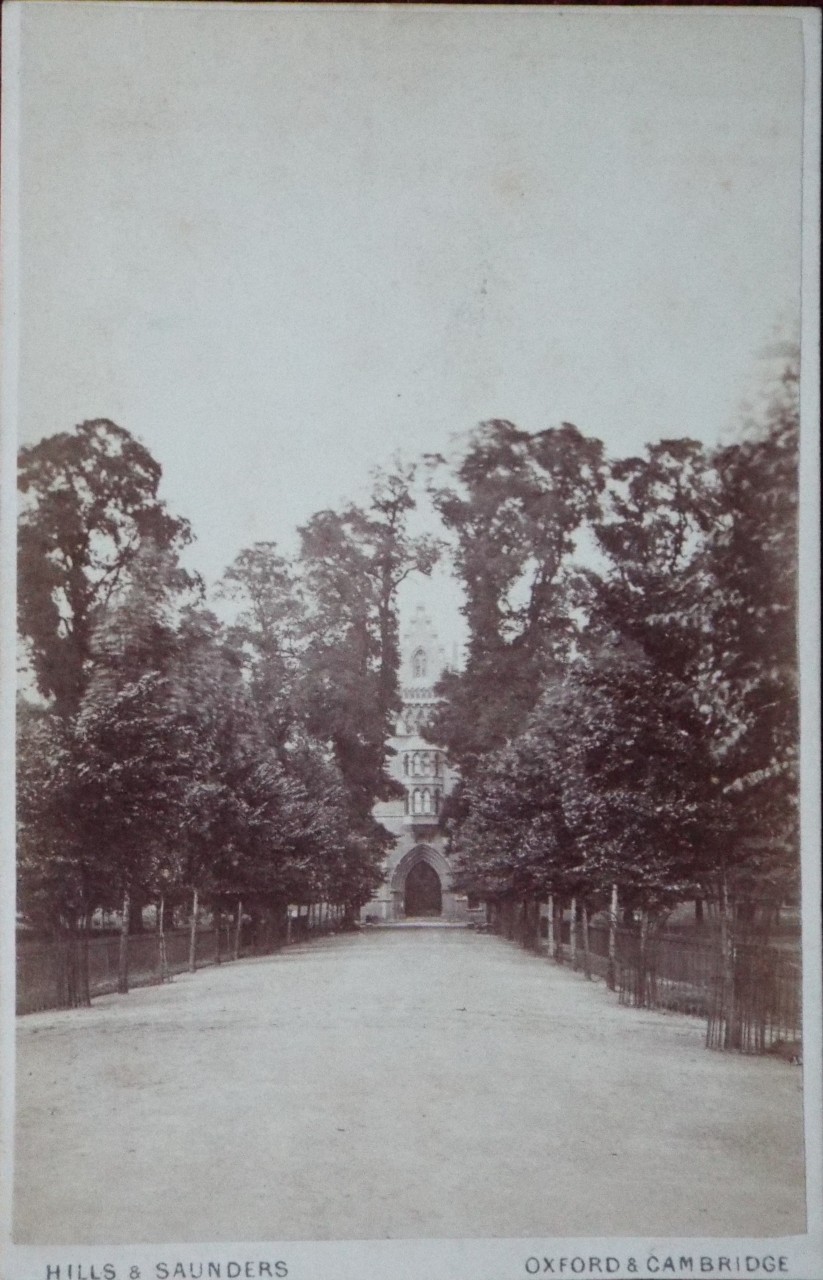 Photograph - Poplar Walk and the Meadow Building of Christ Church College