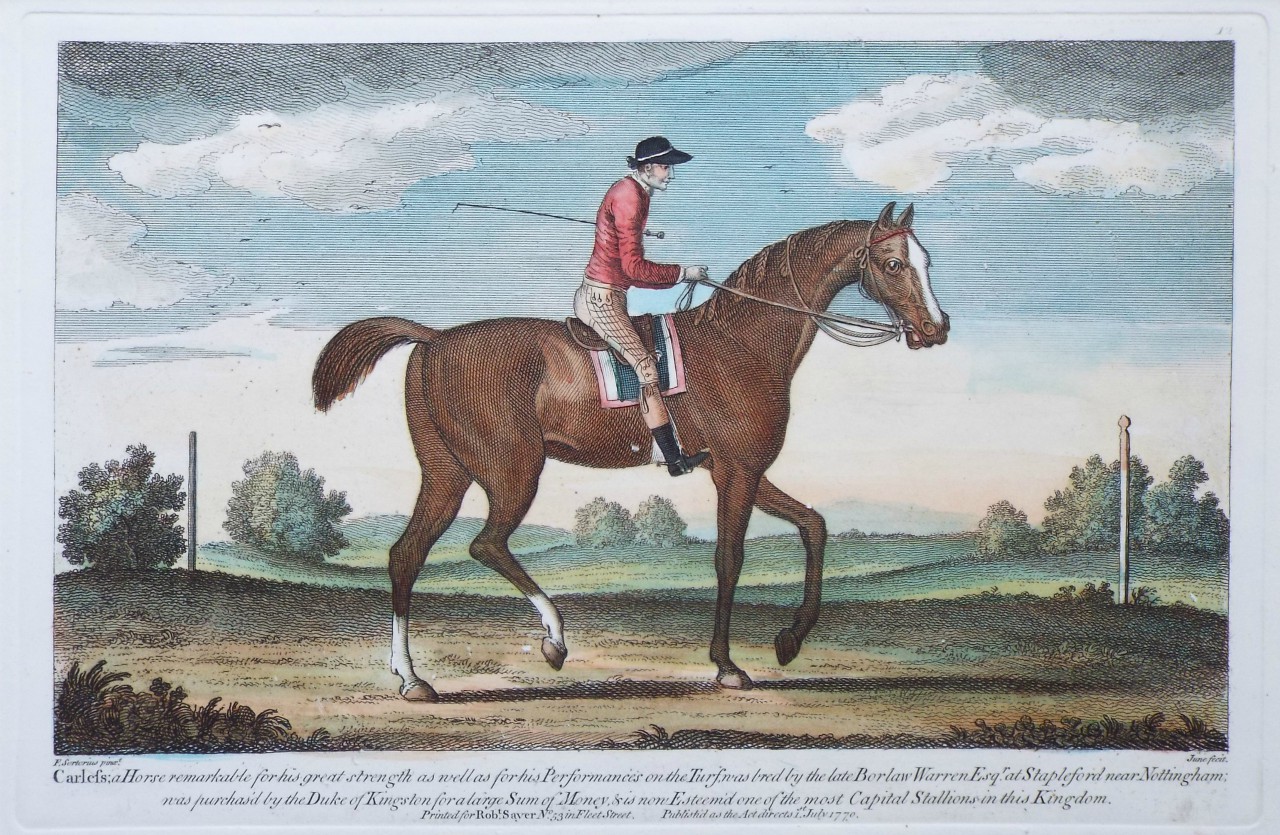 Print - Carless. a Horse remarkable for his great strength as well as for his Performance on the Turf. was bred by the late Borlaw Warren Esq.at Stapleford near Nottingham; was purchased by the Duke of Kingston for a large sum of Money & is now esteem'd one of the most Capital Stallions in this Kingdom.