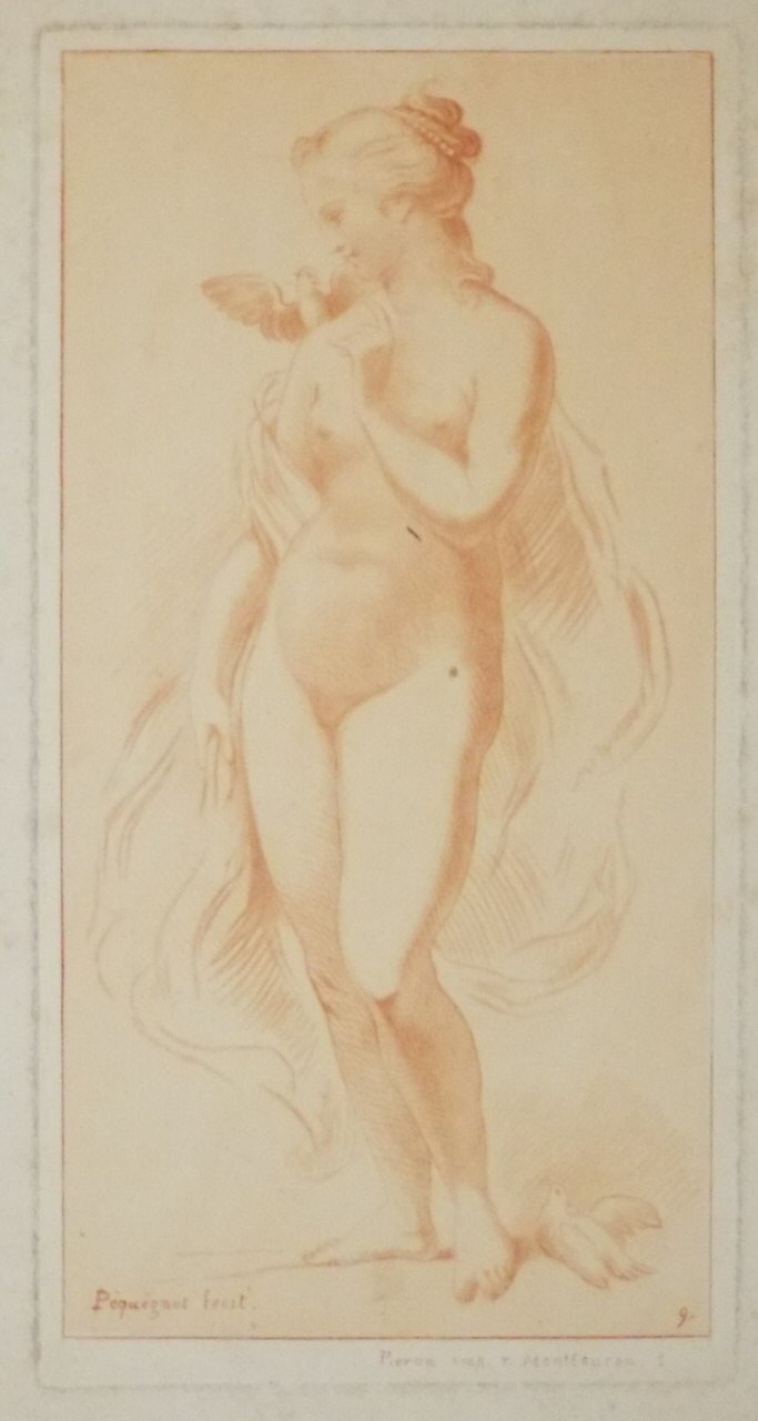 Stipple - Nude woman with a bird