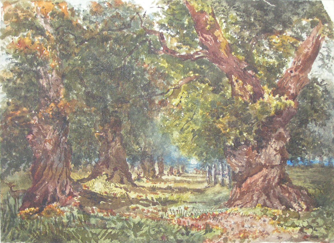 Watercolour - Woodland landscape