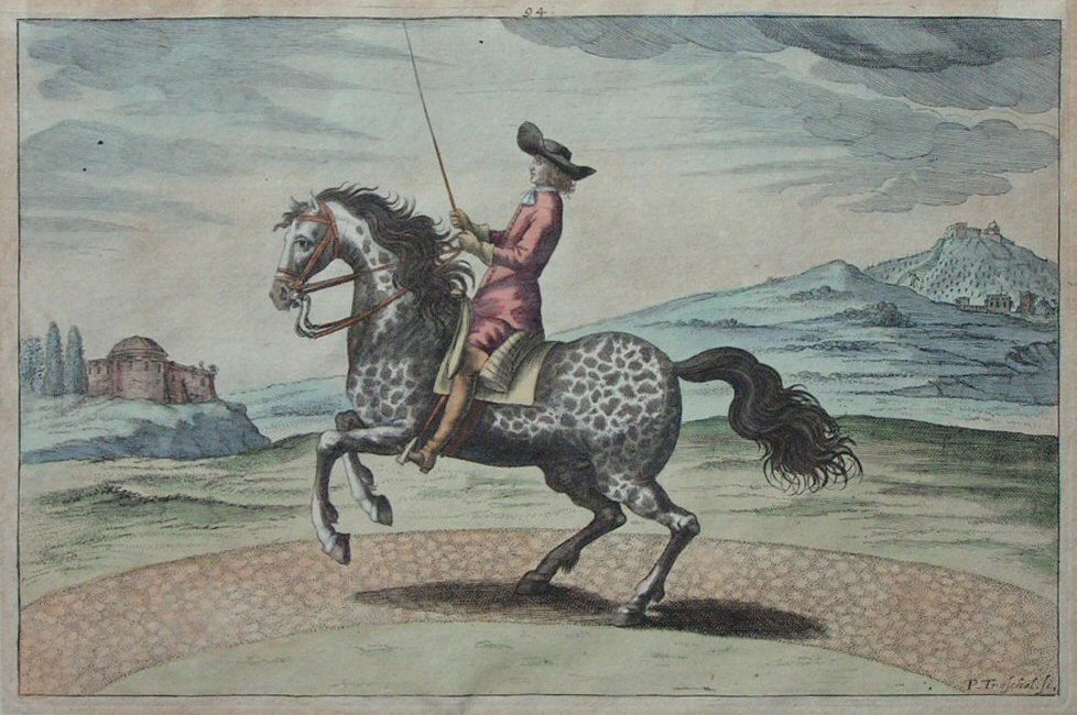 Print - (Dressage) 94 - Troschel