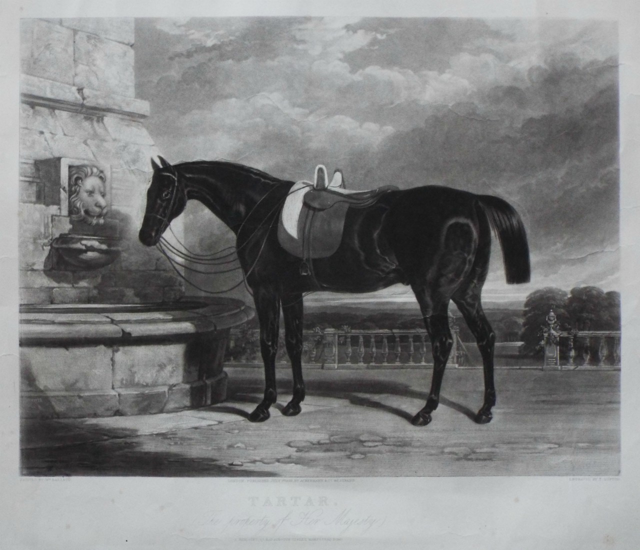 Mezzotint - Tartar. (The Property of Her Majesty) - Lupton