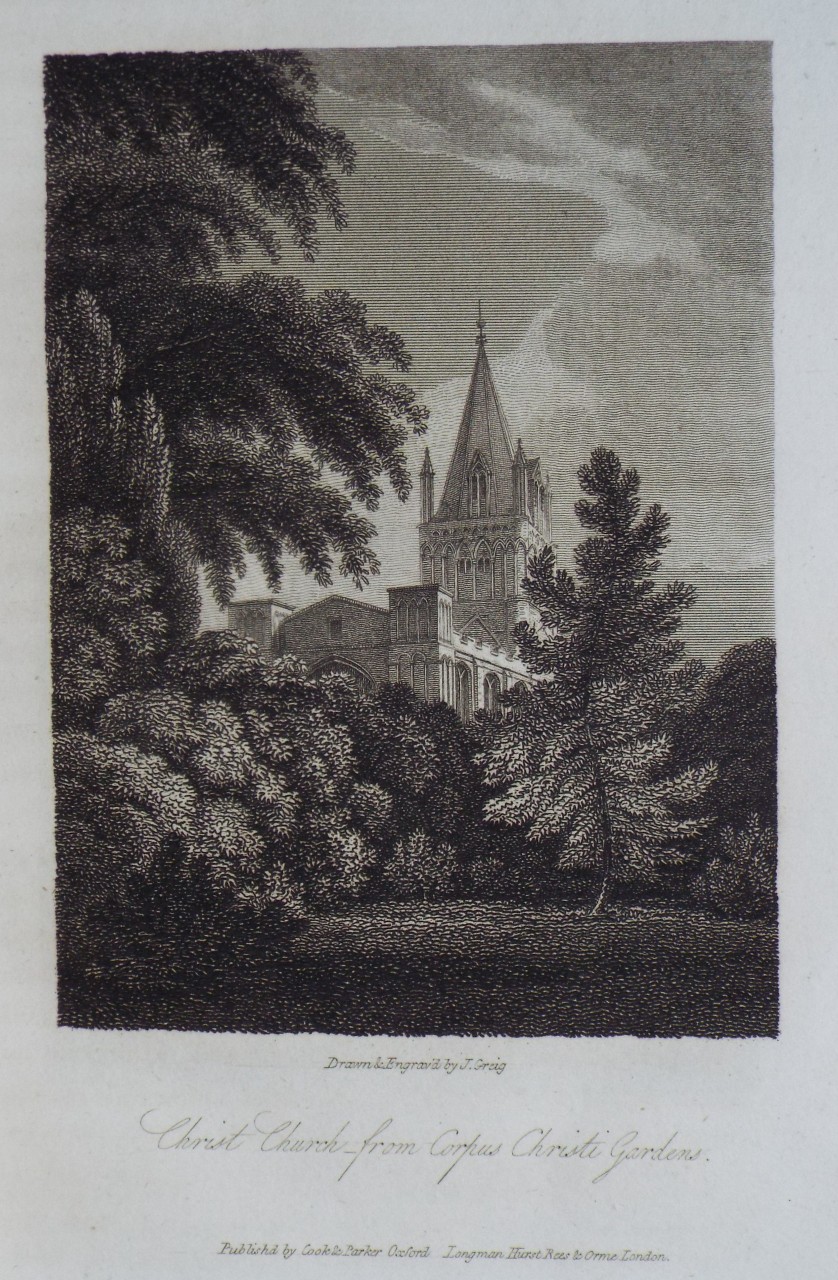 Print - Christ Church from Corpus Christi Gardens. - Greig