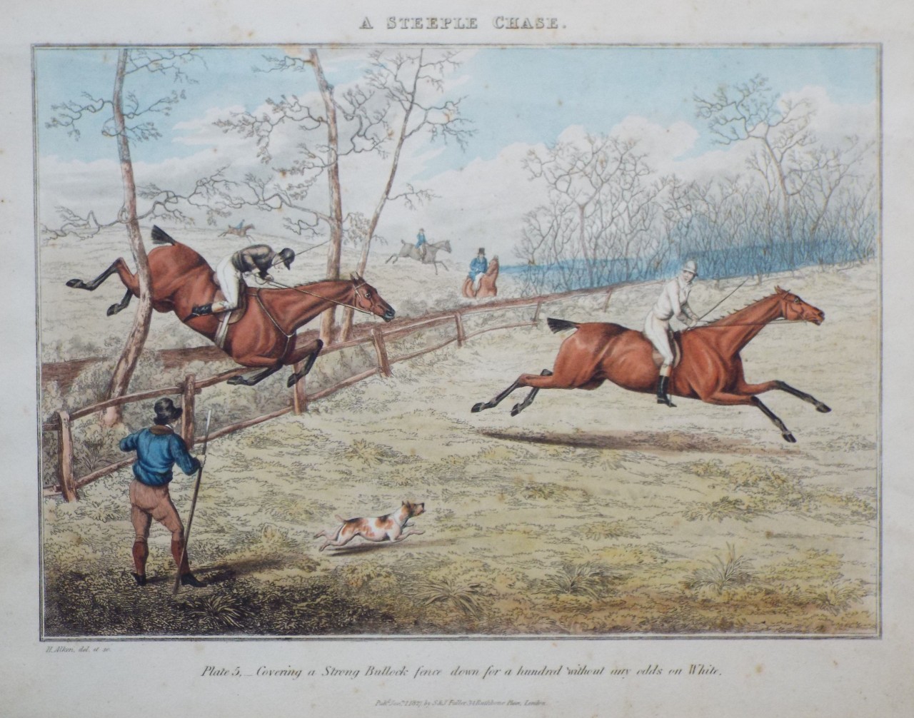 Etching - A Steeple Chase. Plate 5, - Covering a Strong Bullock fence down for a hundred without any odds on White. - Alken
