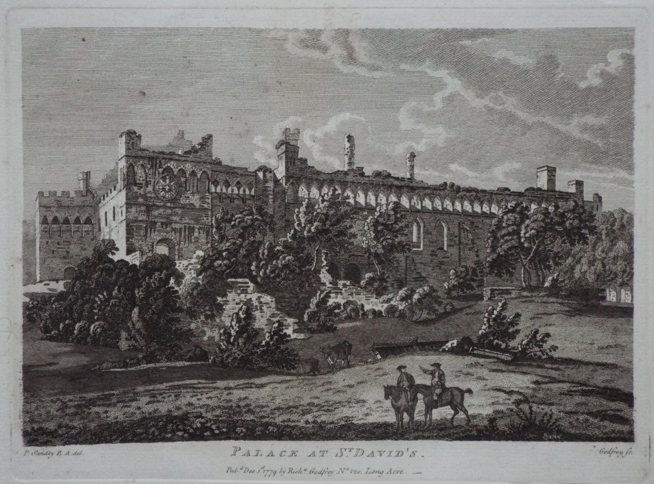 Print - Palace at St. David's. - 