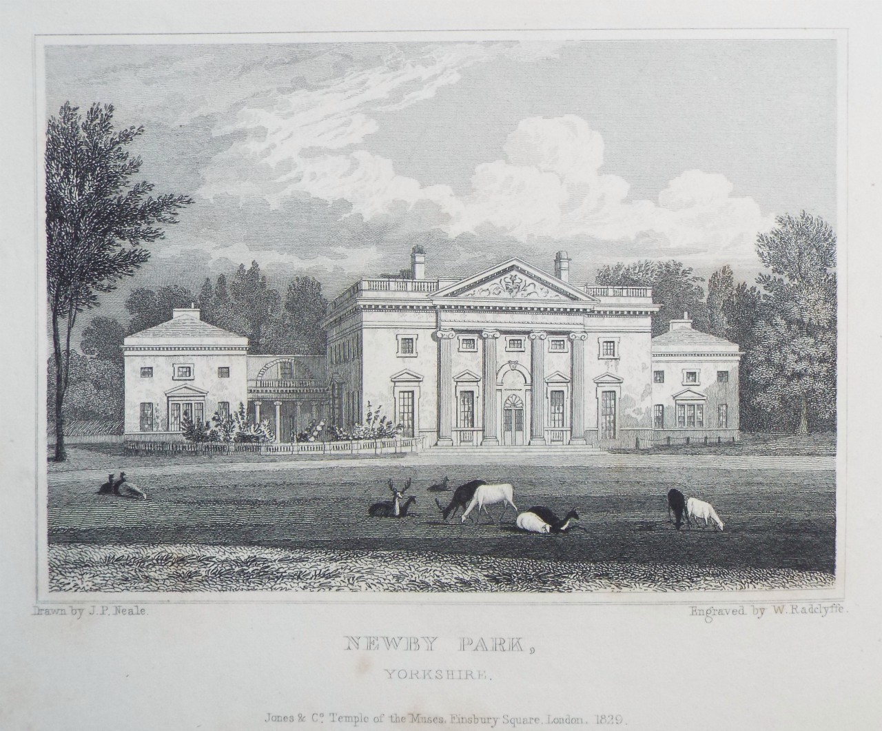 Print - Newby Park, Yorkshire. - Radclyffe