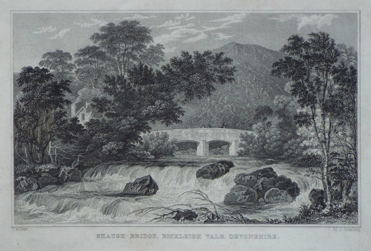 Print - Shaugh Bridge, Bickleigh Vale, Devonshire. - Starling