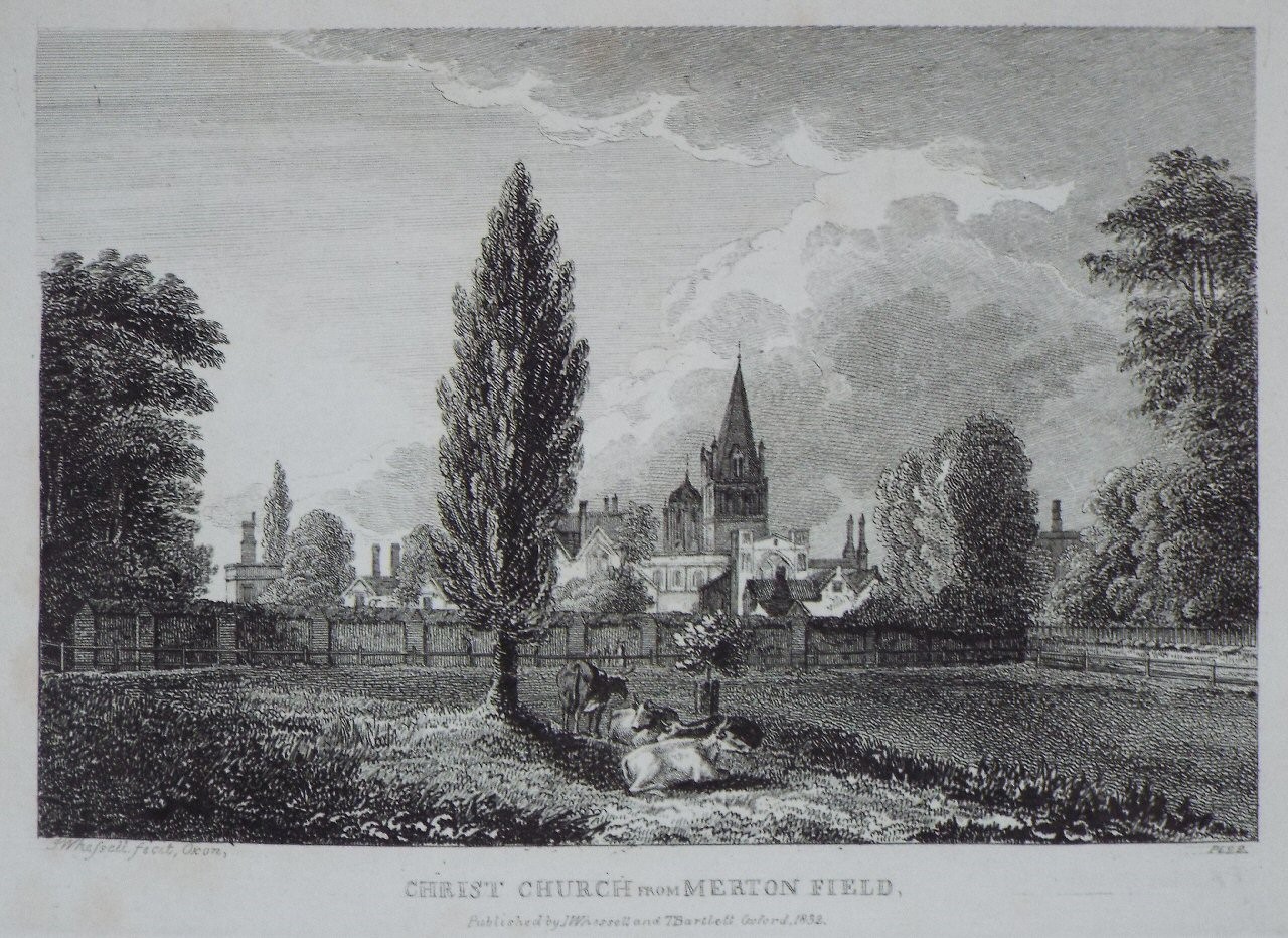 Print - Christ Church from Merton Field. - Whessell