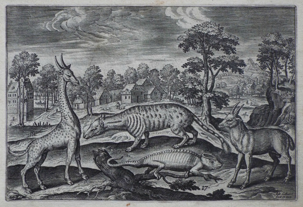 Print - Plate 17: A giraffe, a chameleon, a civel and an antelope - Collaert