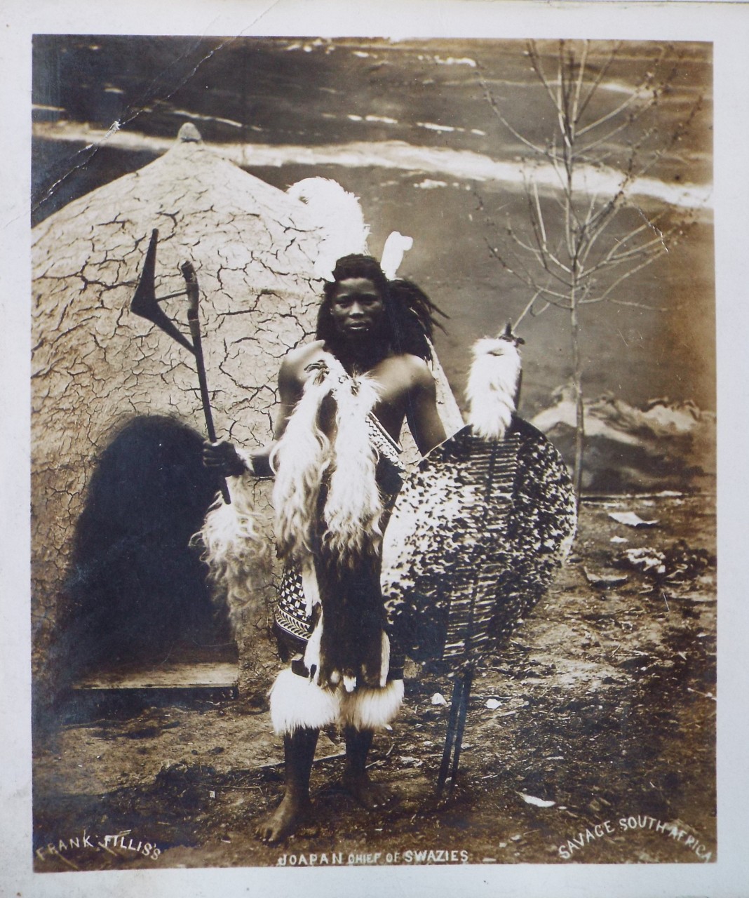 Photograph - Frank Fillis's Savage South Africa, Joafan Chief of the Swazies.