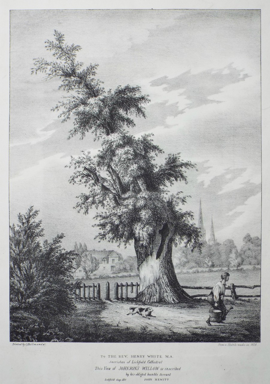 Lithograph - To the Rev. Henry White M.A. Sacristan of Lichfield Cathedral This View of Johnson's Willow is incribed... by John Hewitt