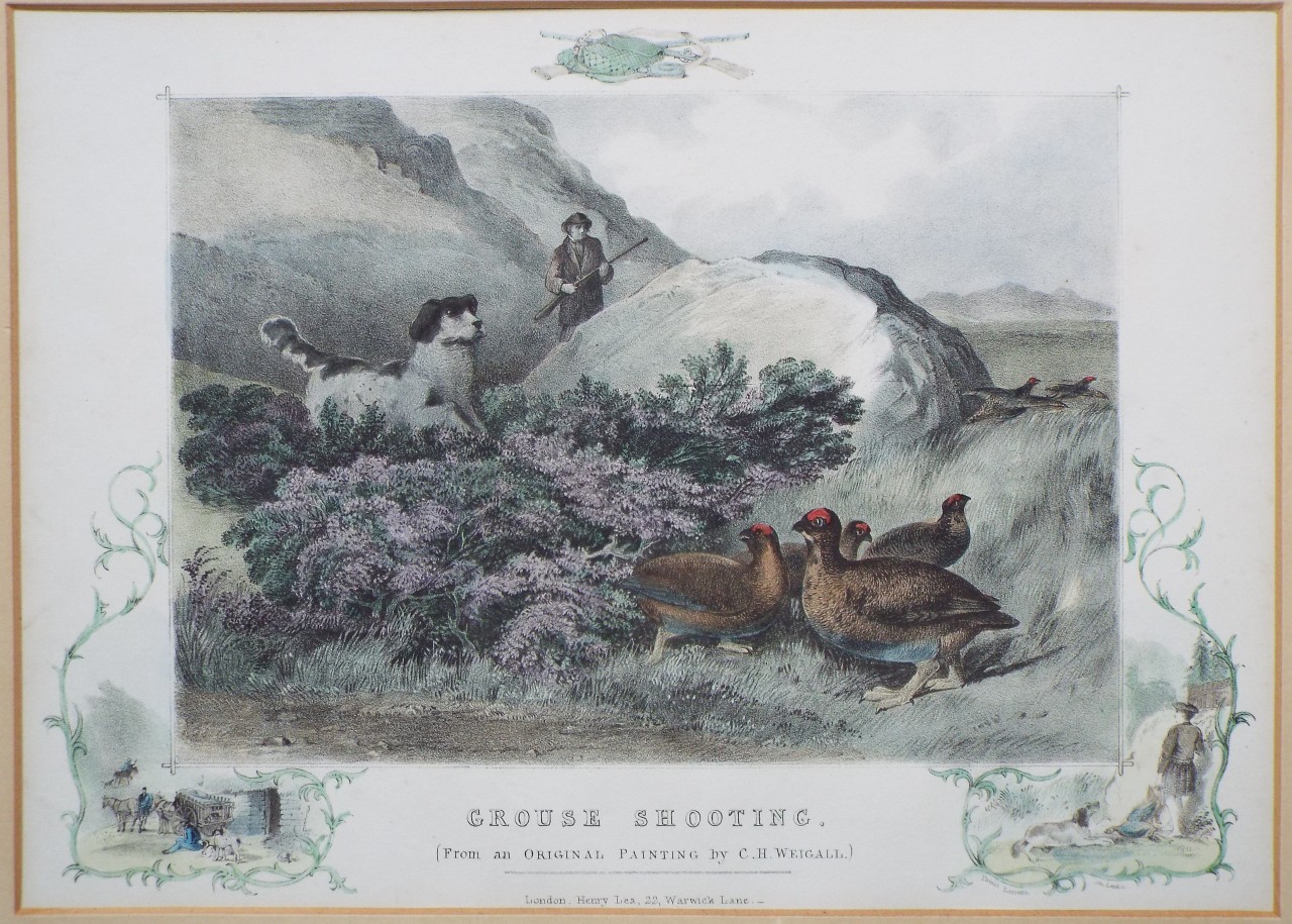 Lithograph - Grouse Shooting. (From an Original Painting by C. H. Weigall.)