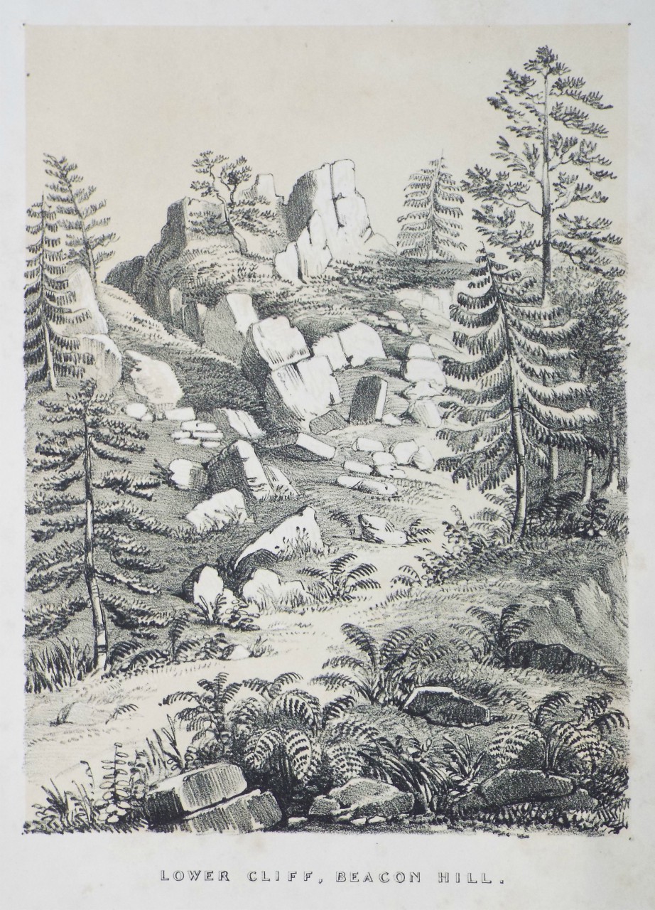 Lithograph - Lower Cliff, Beacon Hill. - Palmer